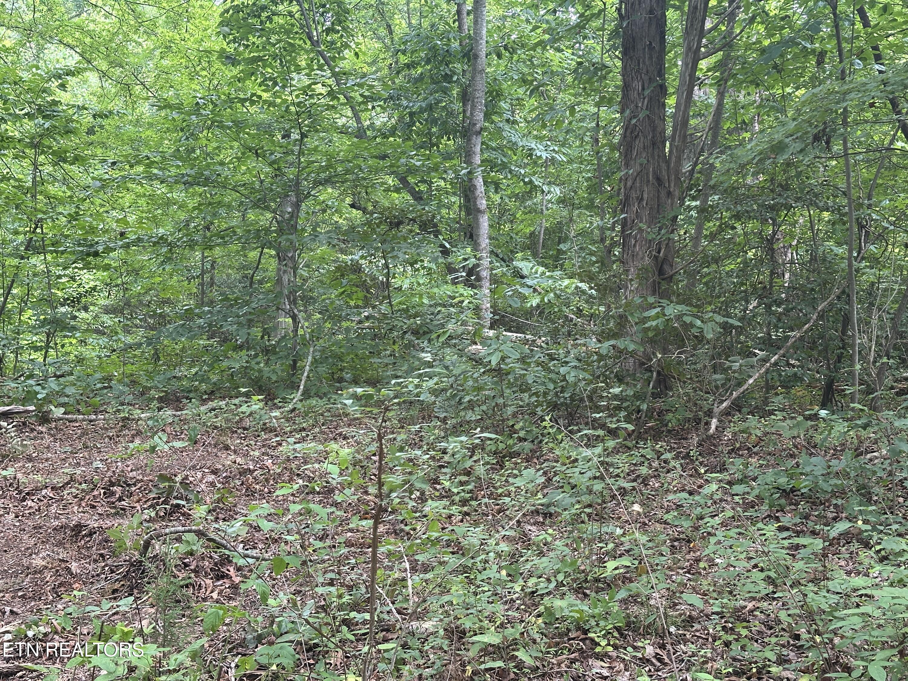 7070 Ross Road Philadelphia, TN 37846 - Photo 23 of 30 IMG_4395