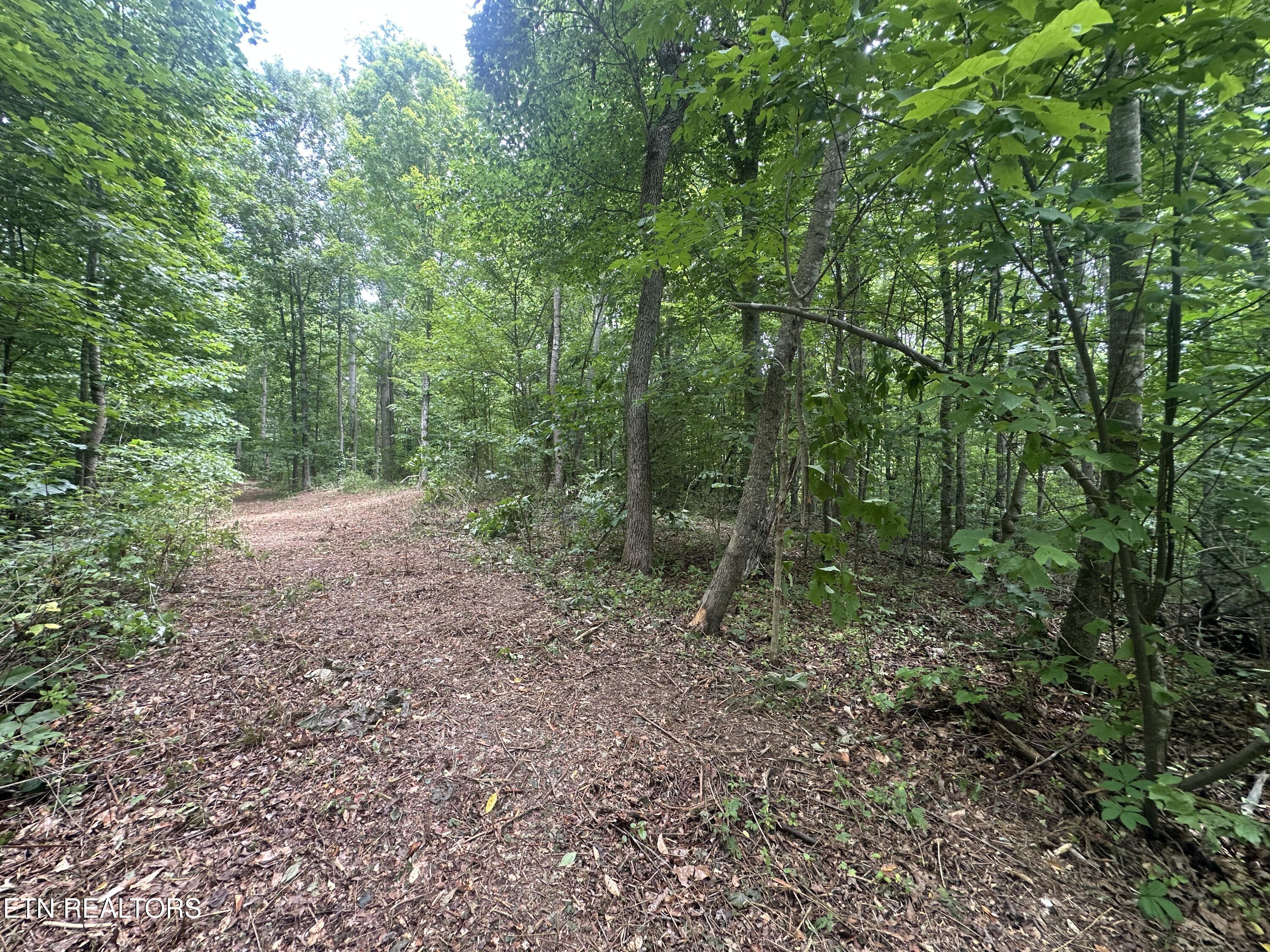 7070 Ross Road Philadelphia, TN 37846 - Photo 24 of 30 IMG_4396