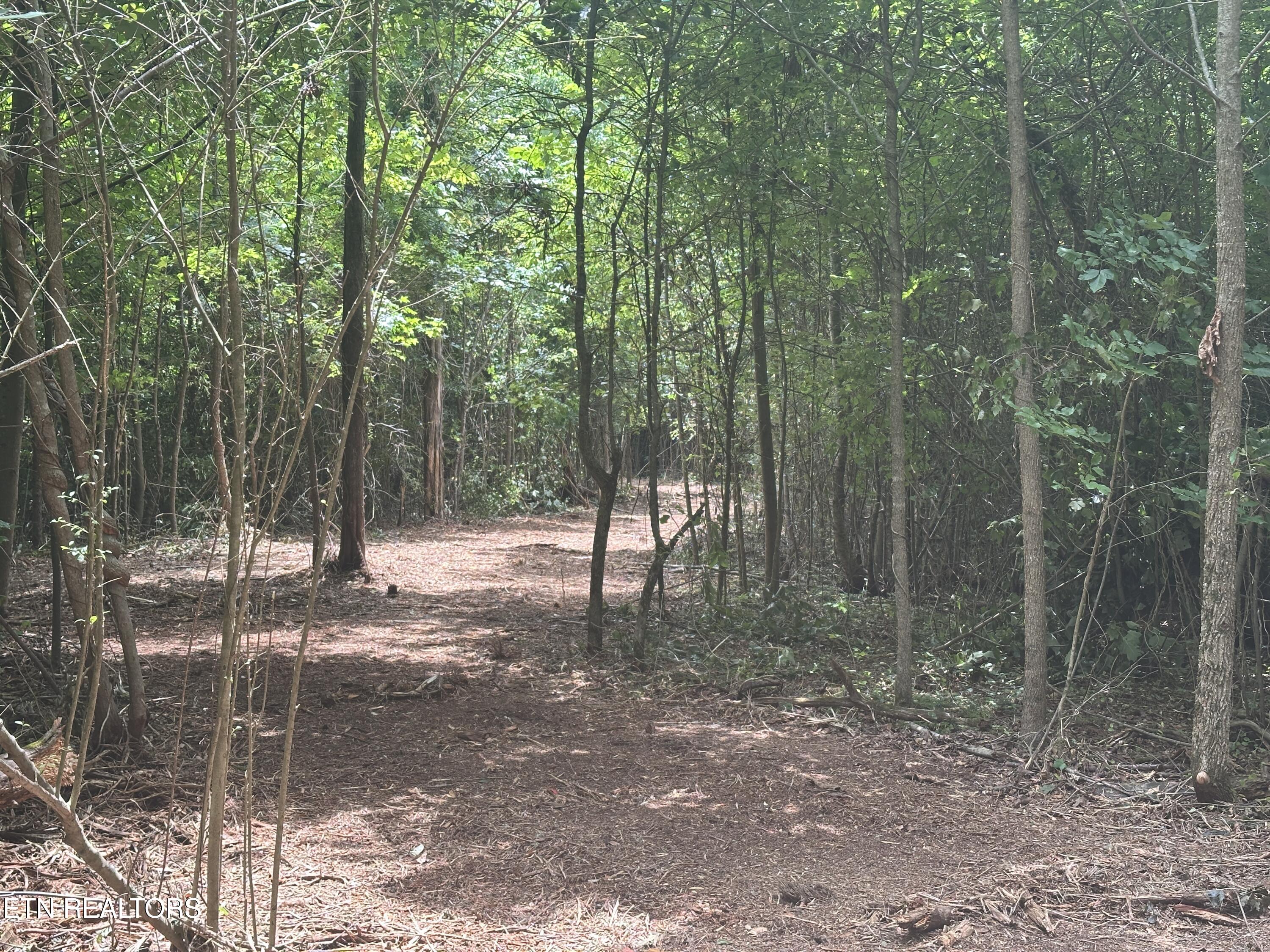 7070 Ross Road Philadelphia, TN 37846 - Photo 27 of 30 IMG_4399