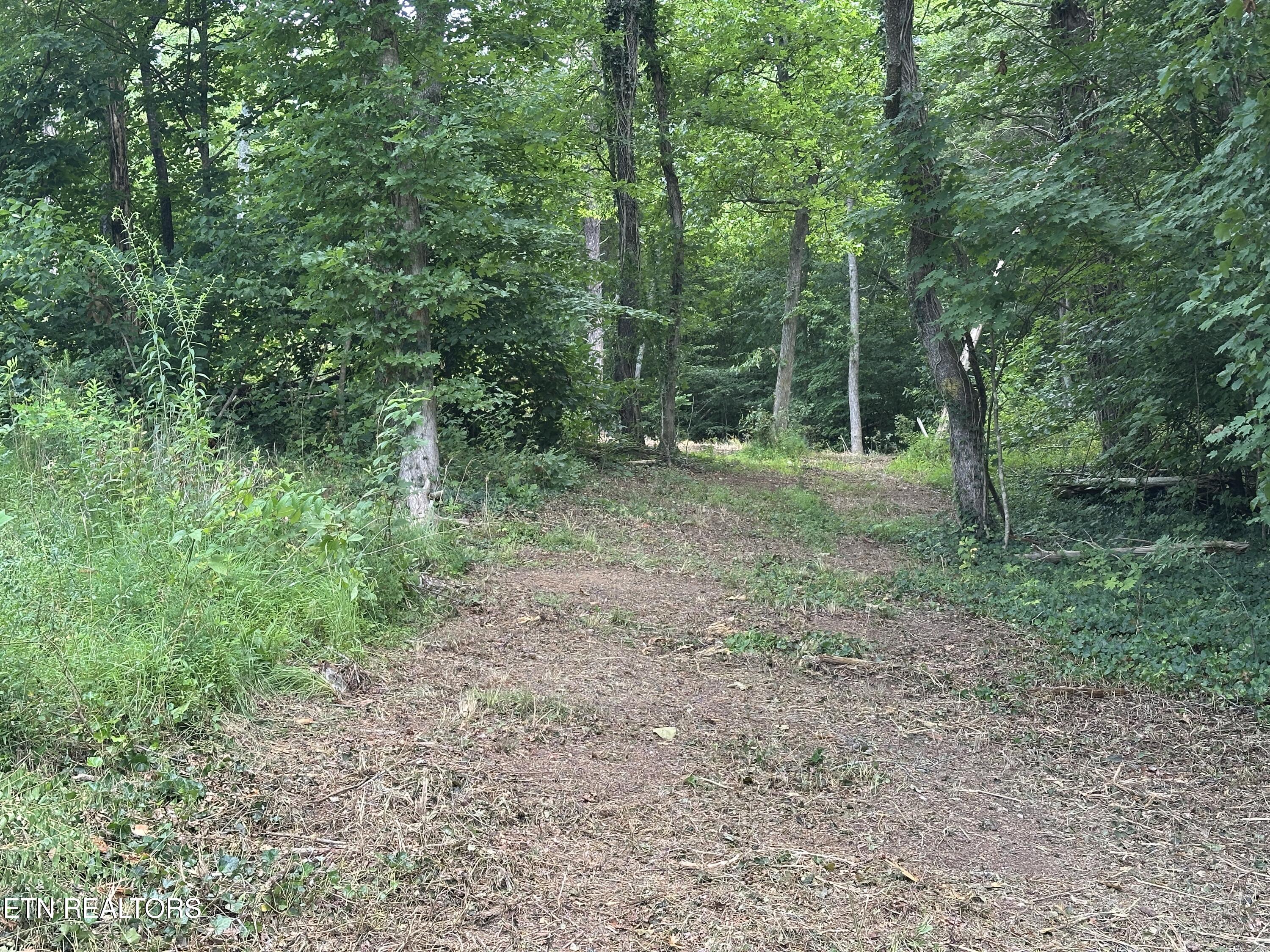 7070 Ross Road Philadelphia, TN 37846 - Photo 5 of 30 IMG_4377