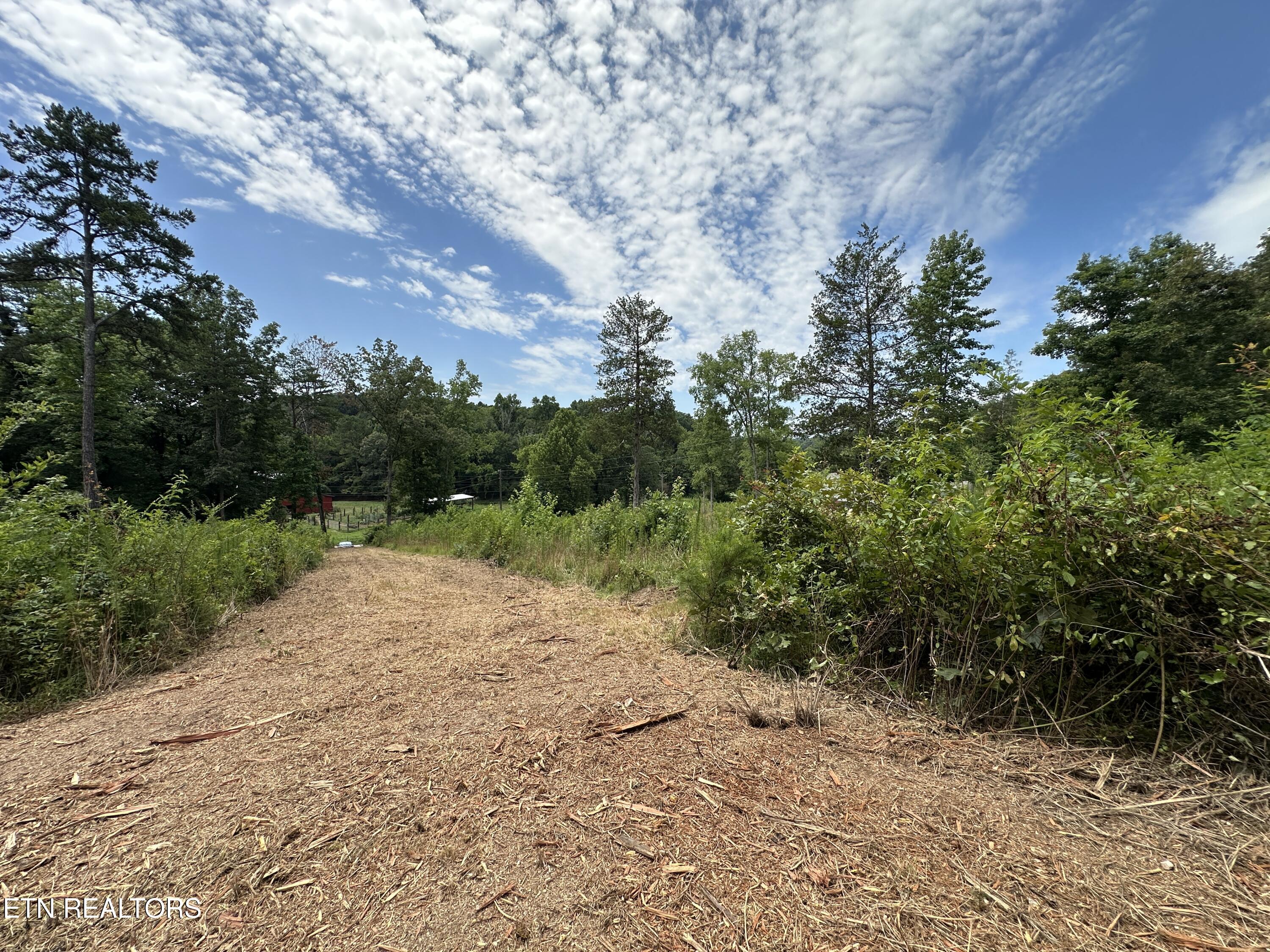 7070 Ross Road Philadelphia, TN 37846 - Photo 6 of 30 IMG_4378