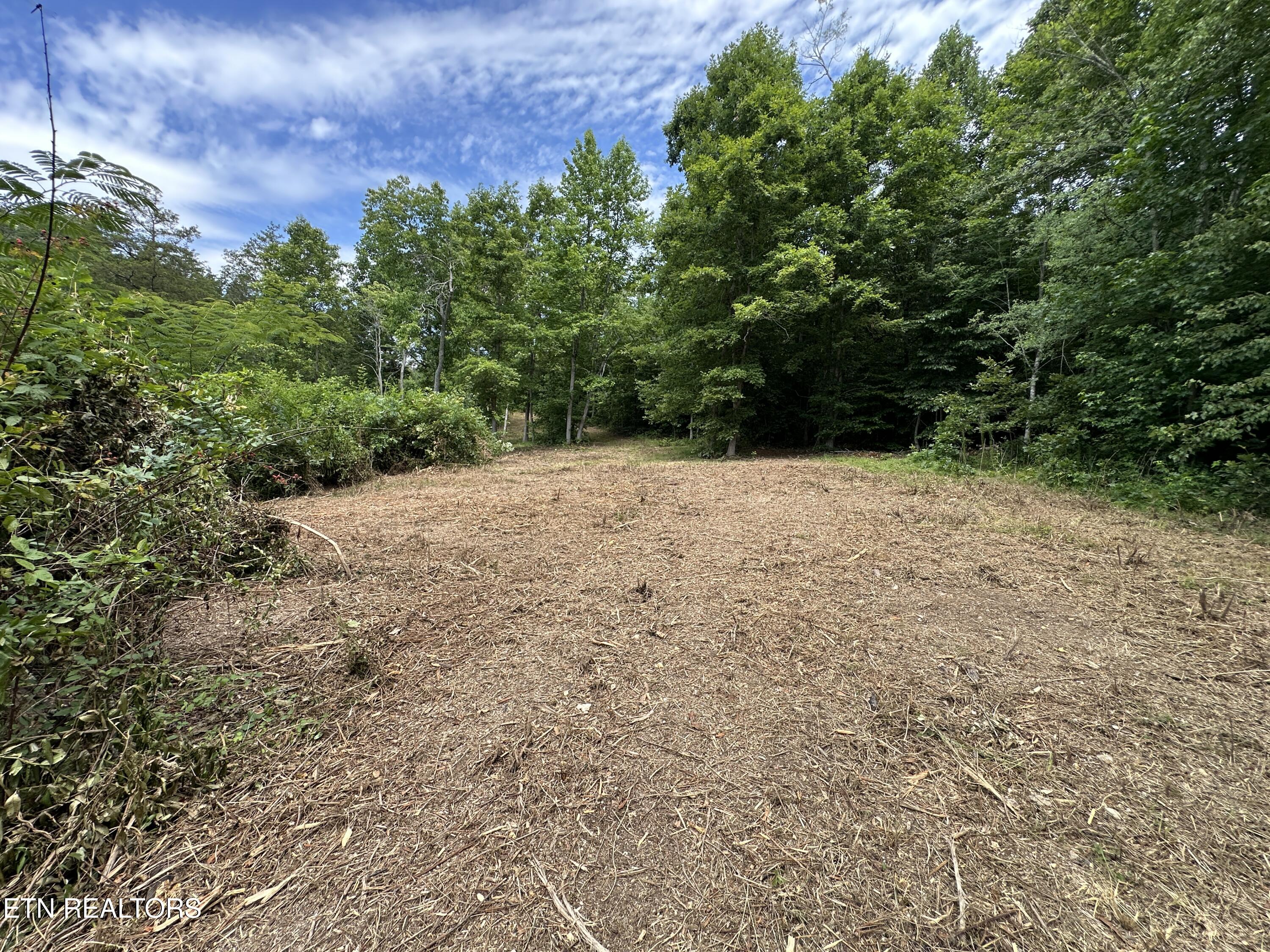 7070 Ross Road Philadelphia, TN 37846 - Photo 7 of 30 IMG_4379