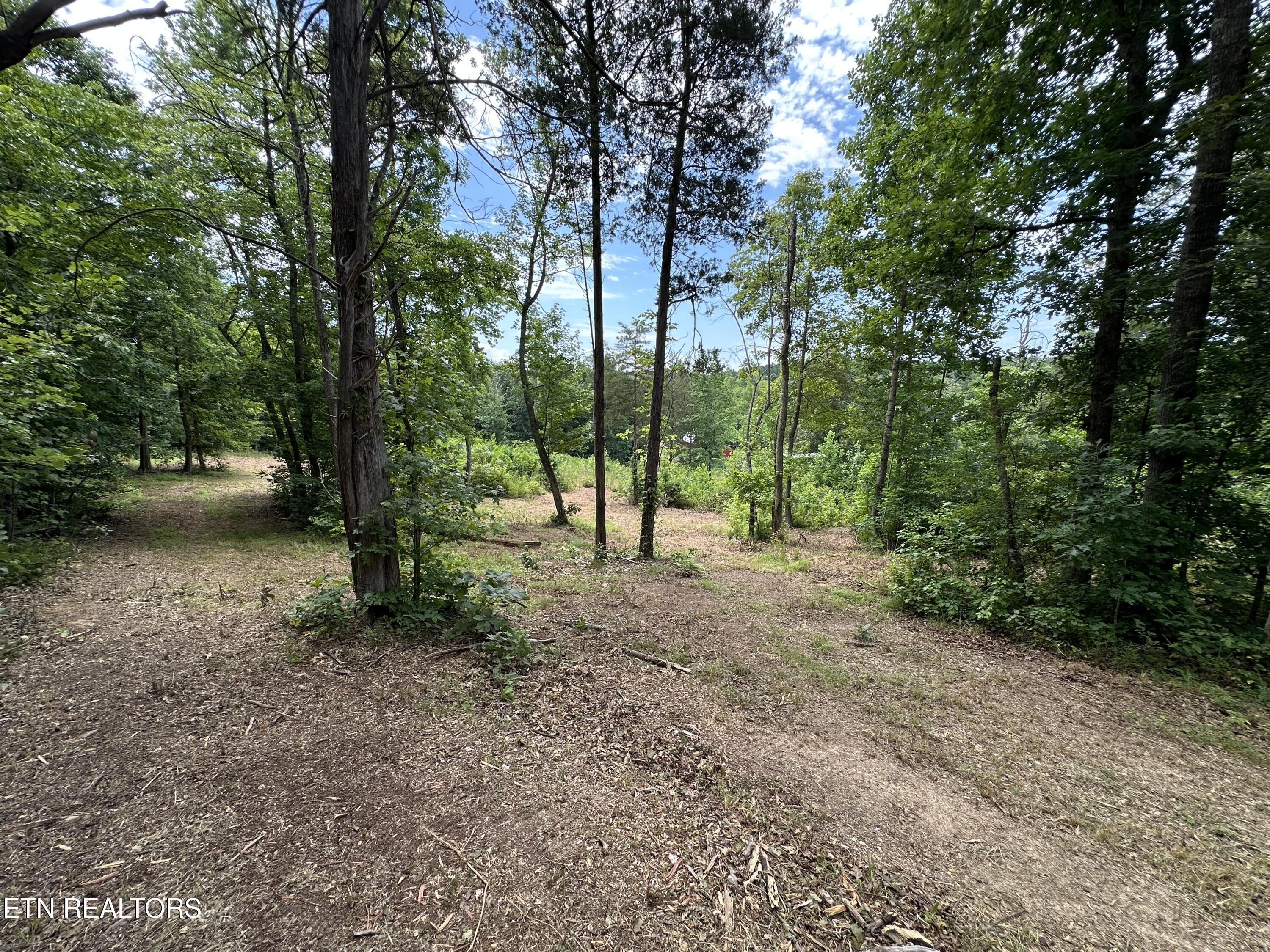 7070 Ross Road Philadelphia, TN 37846 - Photo 10 of 30 IMG_4382