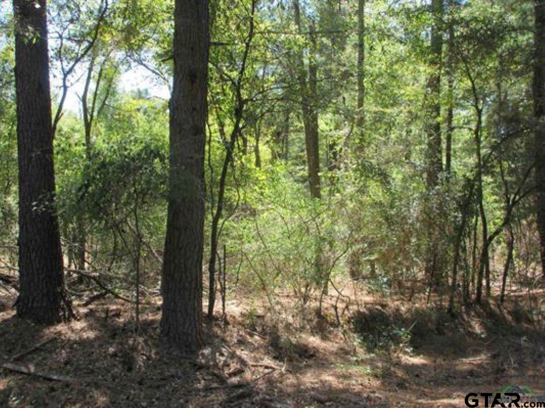 Tbd Graystone Road Longview, TX 75605 - Photo 3 of 7