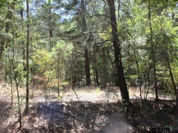 $308,777 | Tbd Graystone Road, Longview, TX 75605