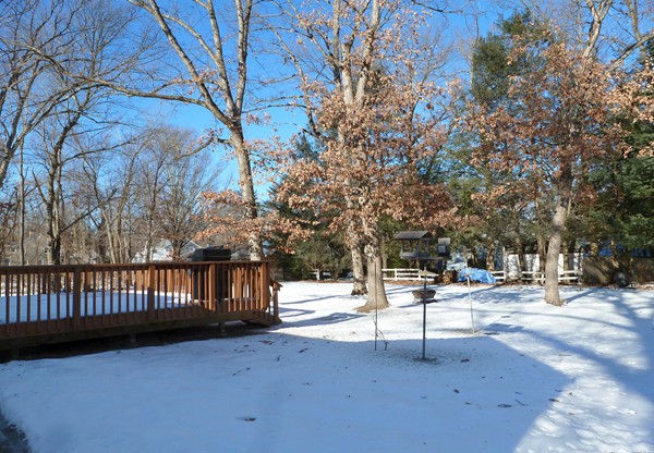 34 Winding Lane Springfield, MA 01118 - Photo 27 of 29