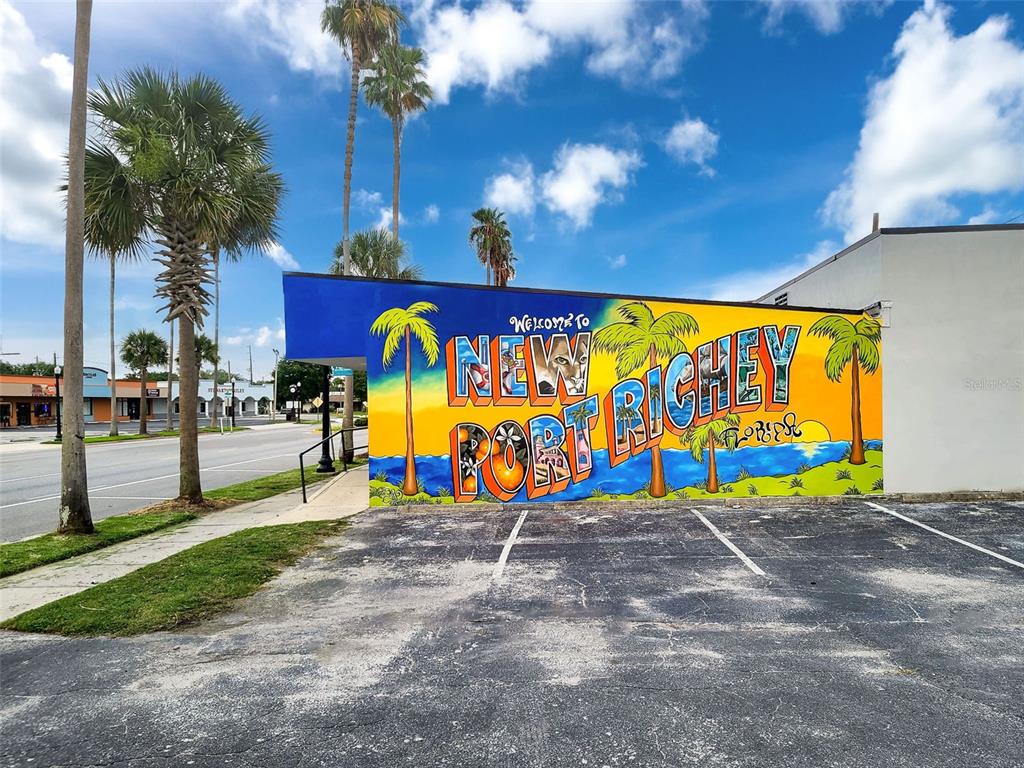 5800 Madison Street New Port Richey, FL 34653 - Photo 40 of 71 a view of outdoor space with a flat screen tv