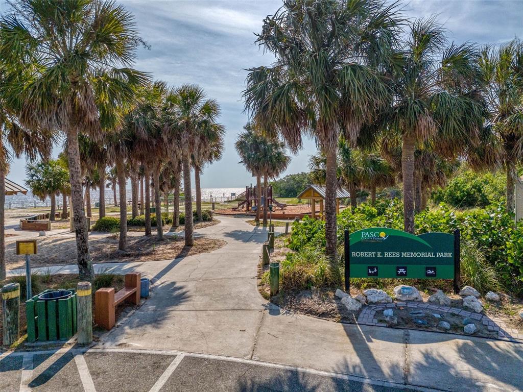 5800 Madison Street New Port Richey, FL 34653 - Photo 62 of 71 a row of palm trees and a park