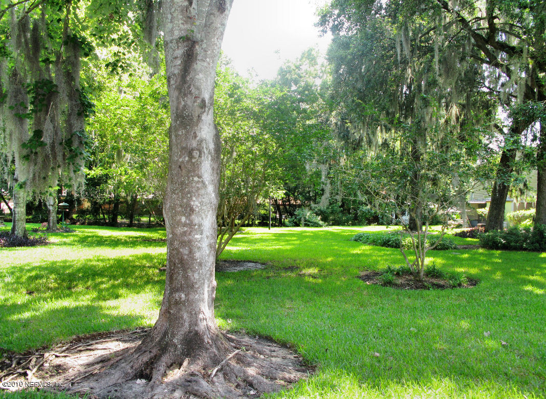 1279 The Grove Road Orange Park, FL 32073 - Photo 5 of 5 Backyard