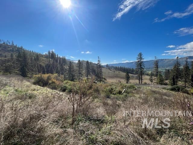 Tbd Lot 1 Tbd Road Kamiah, ID 83536 - Photo 3 of 8