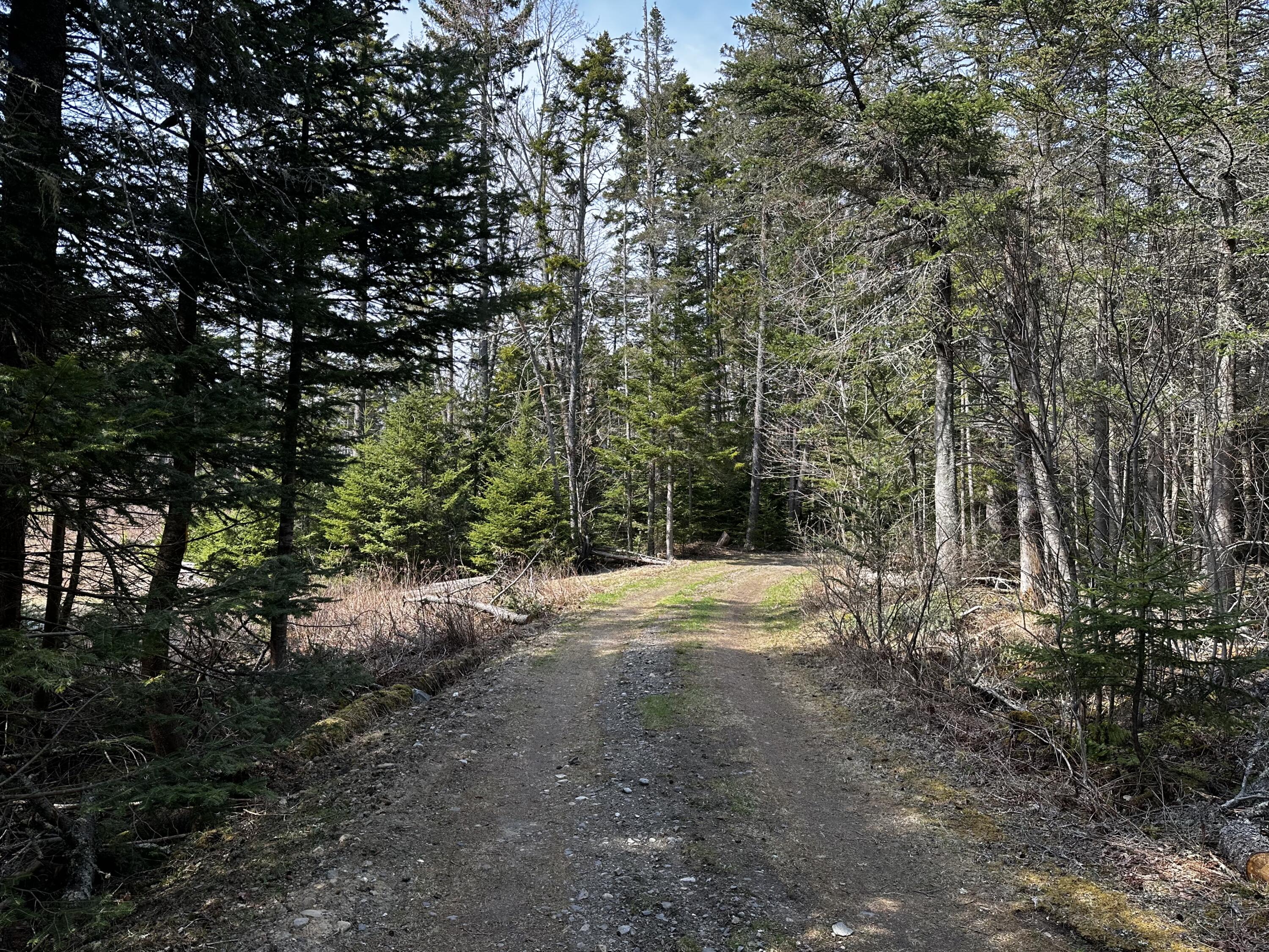 # Fay Road Spruce Head, ME 04859 - Photo 5 of 8 IMG_0107