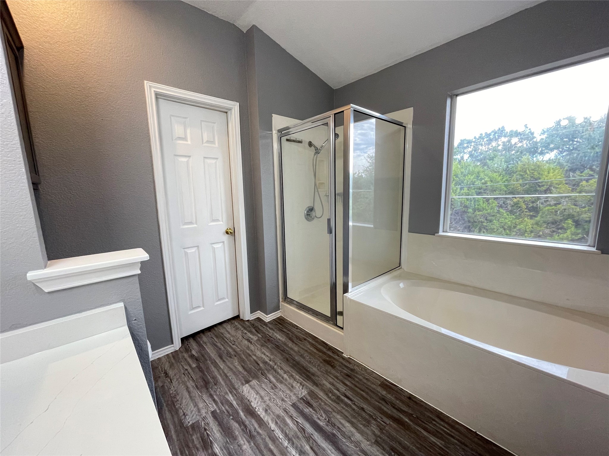 3638 Windhill Loop Round Rock, TX 78681 - Photo 23 of 32 Full bathroom featuring a walk-in shower with glass enclosure, a built-in soaking tub, wood-finish flooring, a large window, and light countertops