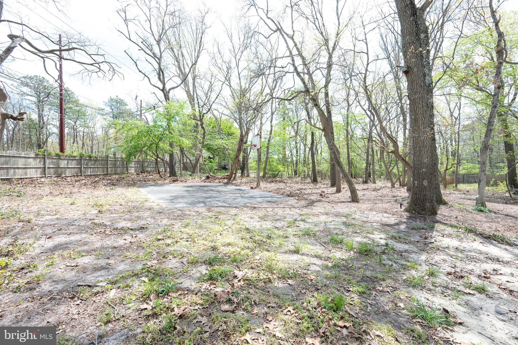 3 Slalom Court Pine Hill, NJ 08021 - Photo 45 of 47 a view of backyard with tree