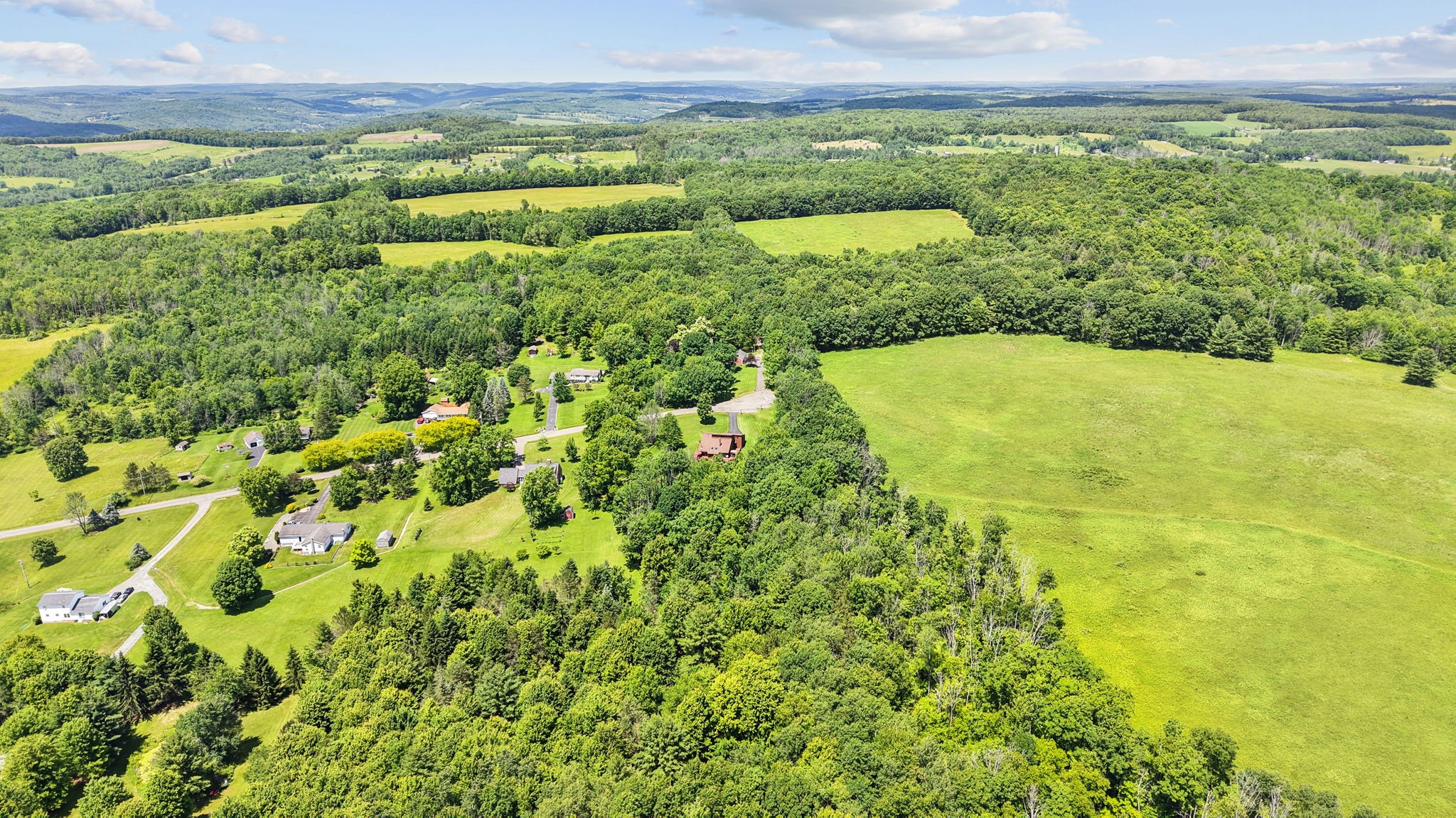 786 Harnecky Road Newark Valley, NY 13811 - Photo 6 of 50