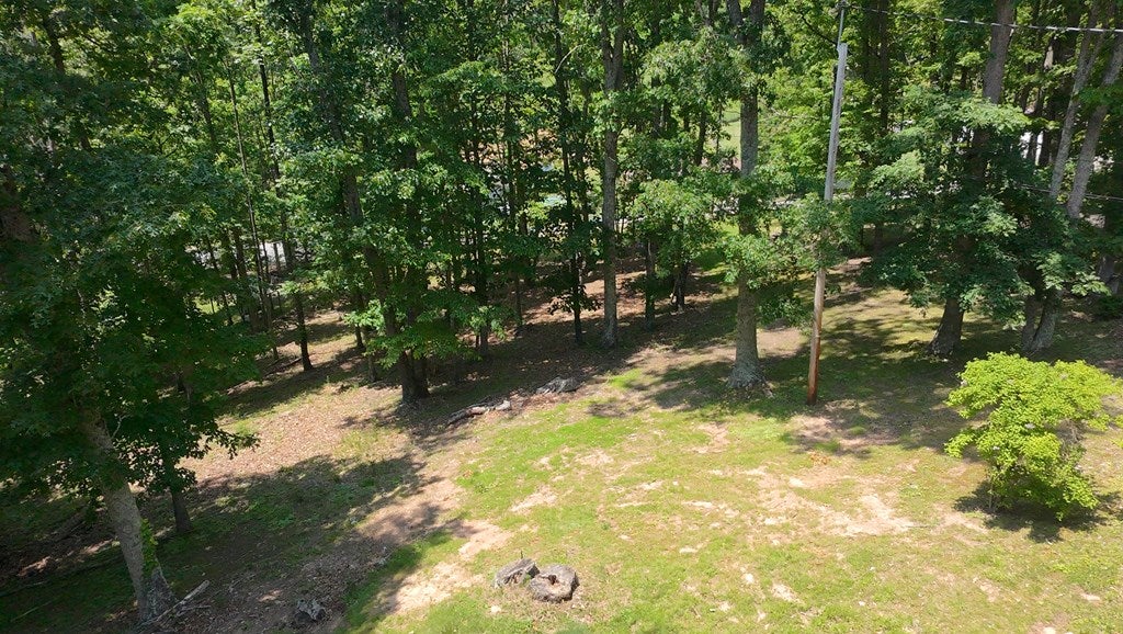 1753 Scratch Gravel Road Marion, VA 24354 - Photo 40 of 58 Gallery Image 40