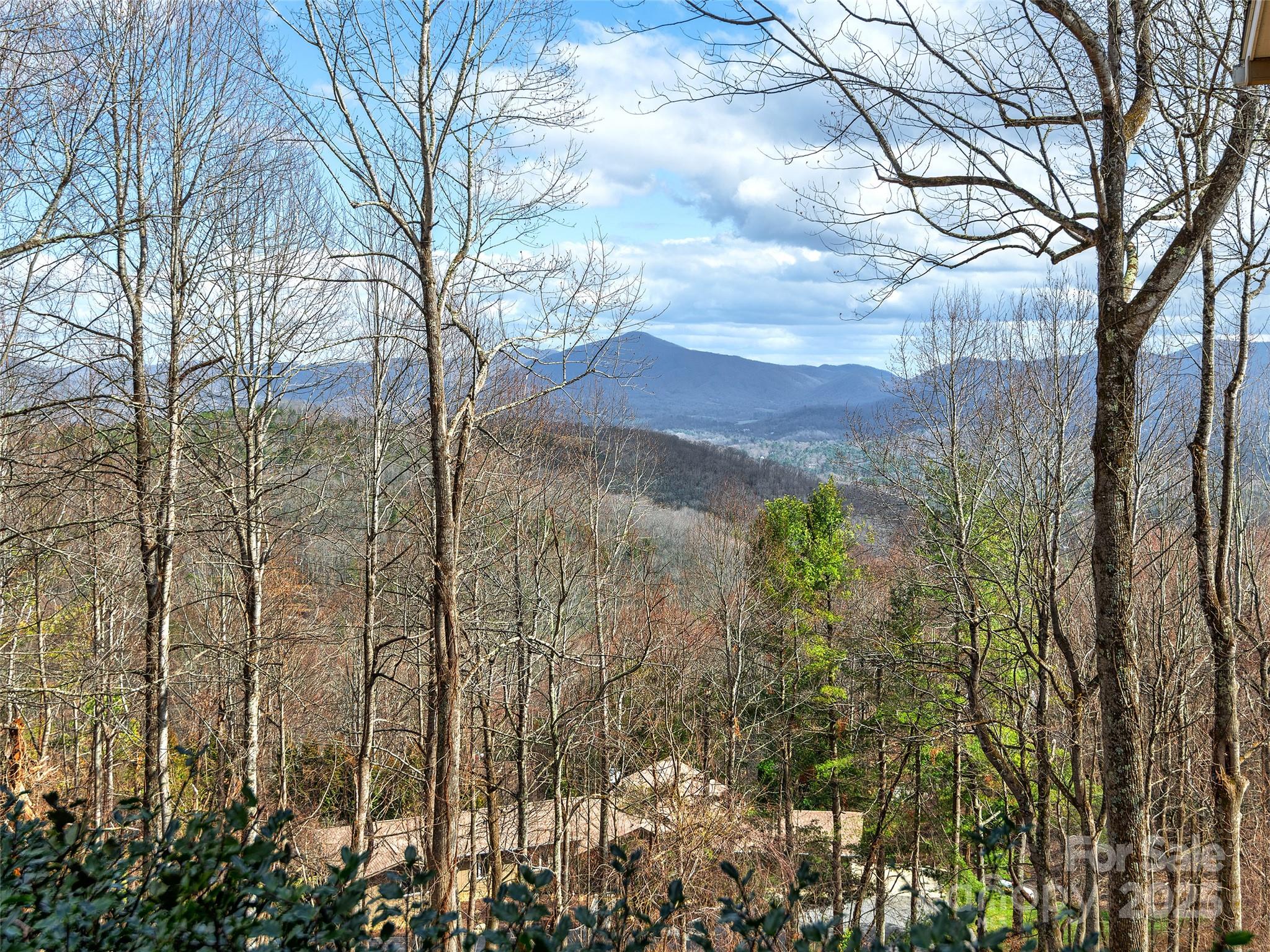 19 Ebby Ridge Road Fairview, NC 28730 - Photo 34 of 36 Gallery Image 34