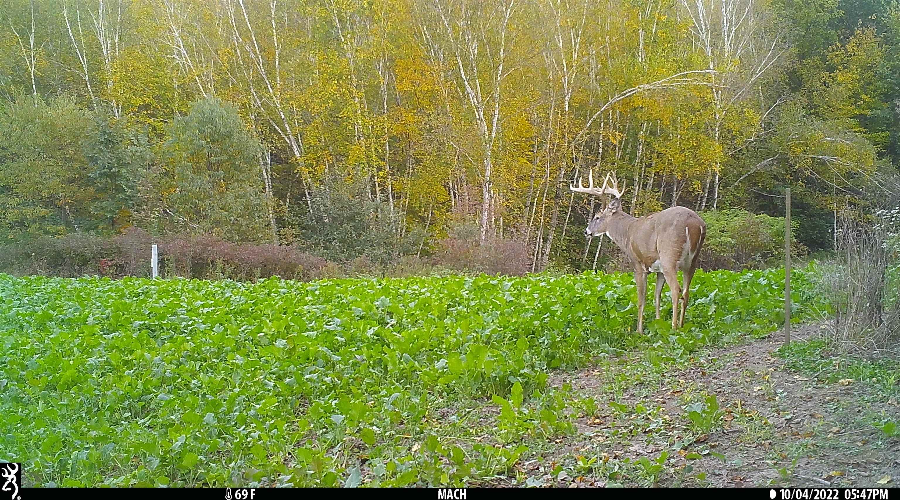 0 Pierce Road Hixton, WI 54635 - Photo 68 of 90 Gallery Image 68