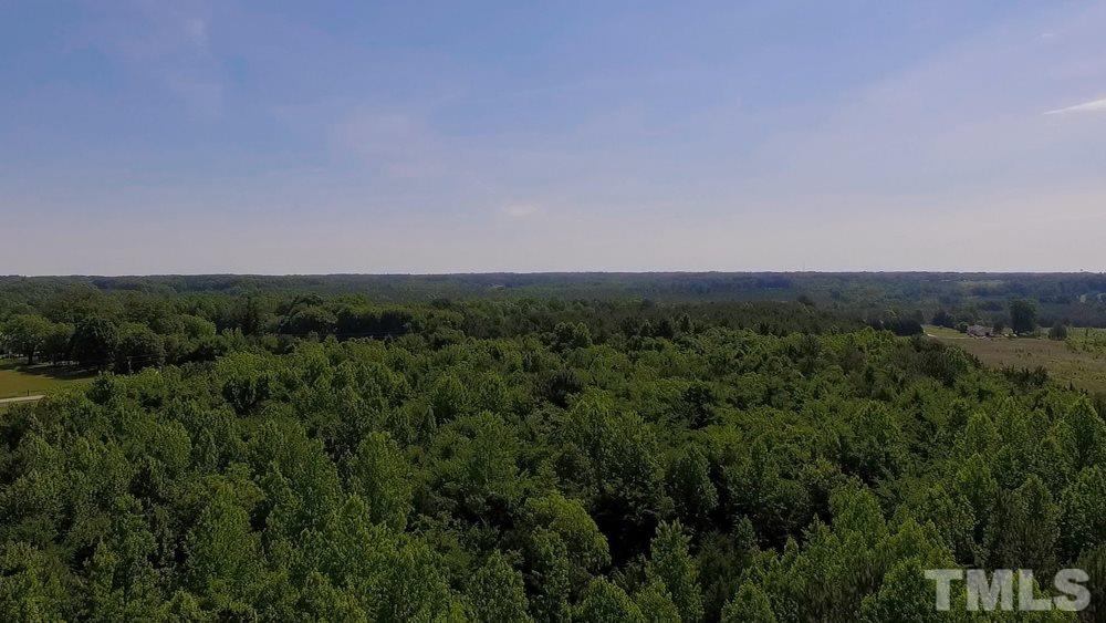 0 Ridgeway Warrenton Road Norlina, NC 27563 - Photo 3 of 10 Gallery Image 3
