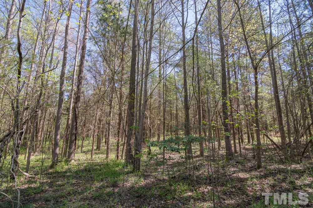 0 Ridgeway Warrenton Road Norlina, NC 27563 - Photo 6 of 10 Gallery Image 6