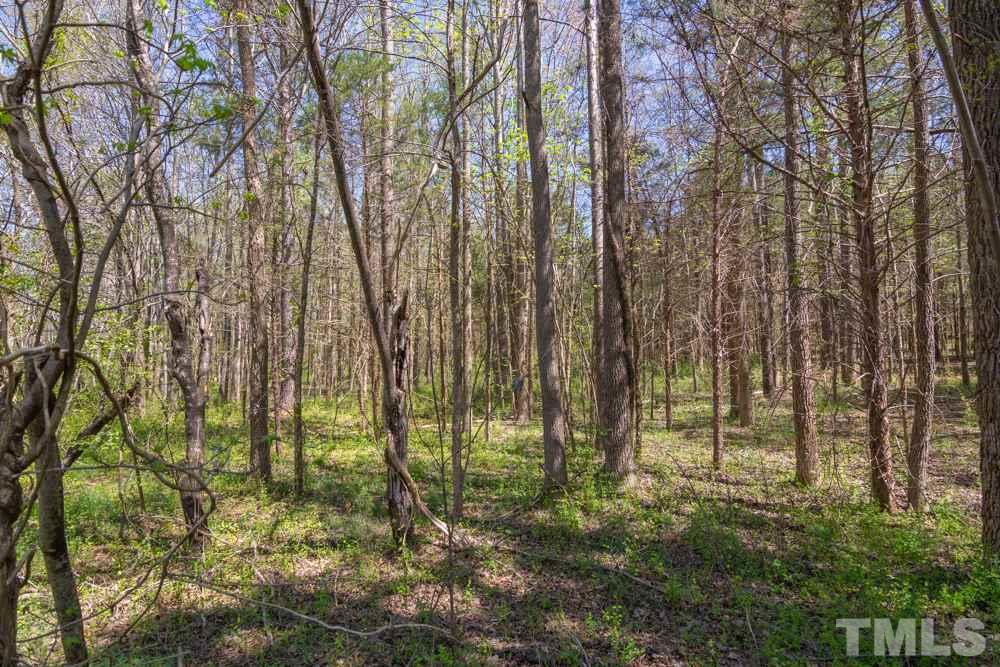 0 Ridgeway Warrenton Road Norlina, NC 27563 - Photo 7 of 10 Gallery Image 7