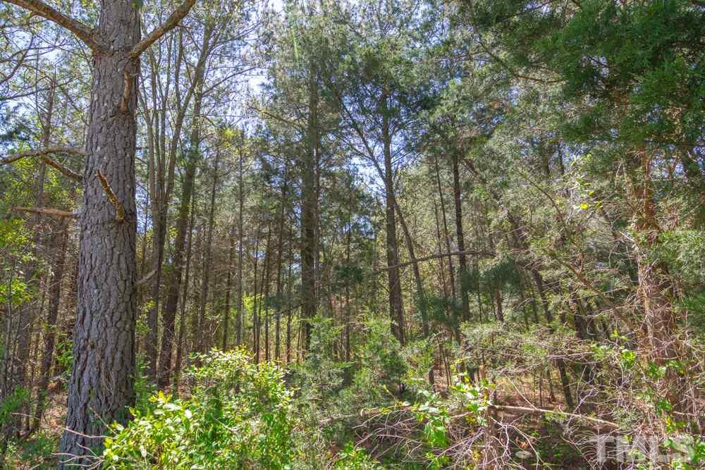 0 Ridgeway Warrenton Road Norlina, NC 27563 - Photo 8 of 10 Gallery Image 8