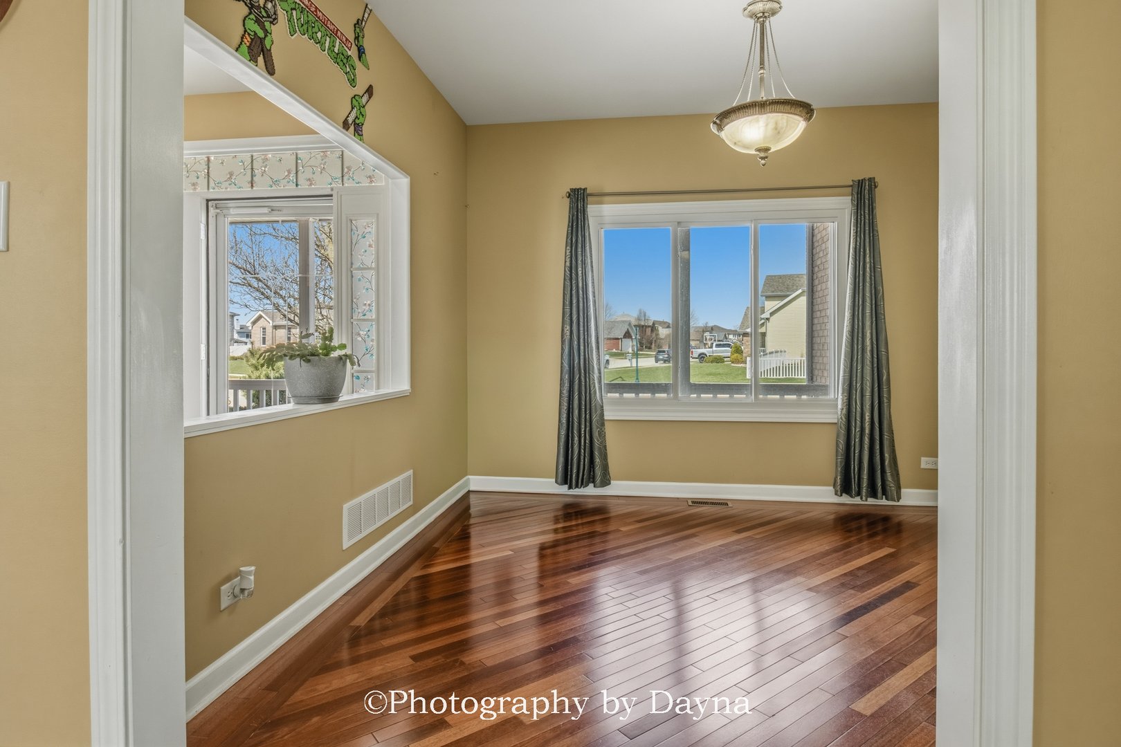 996 Meadow Path Manteno, IL 60950 - Photo 12 of 44