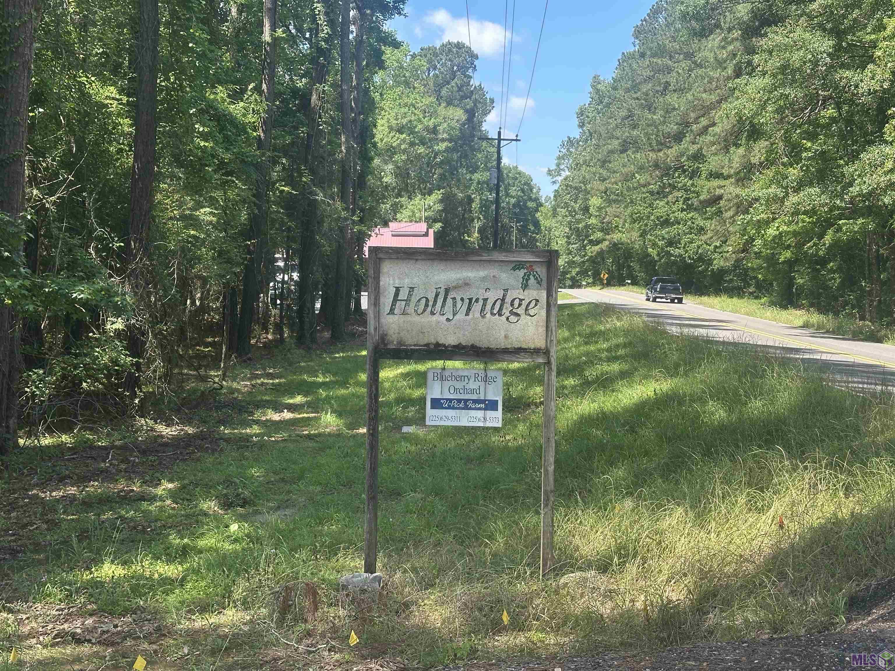 2725 Holly Ridge Road Jackson, LA 70748 - Photo 7 of 8
