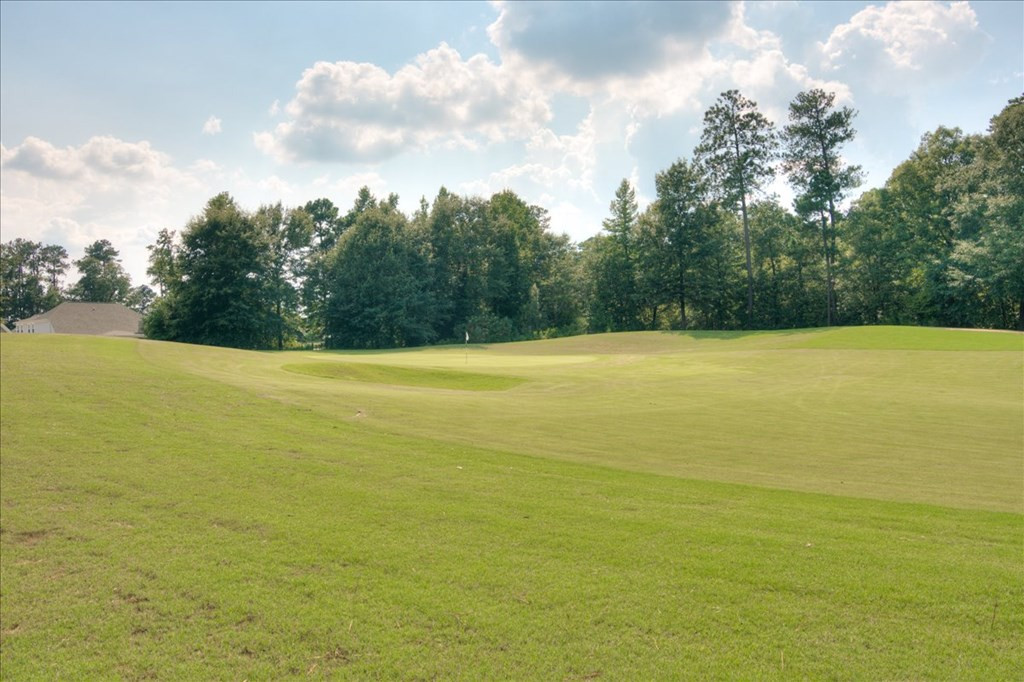 4338 Satolah Ridge Evans, GA 30809 - Photo 39 of 40