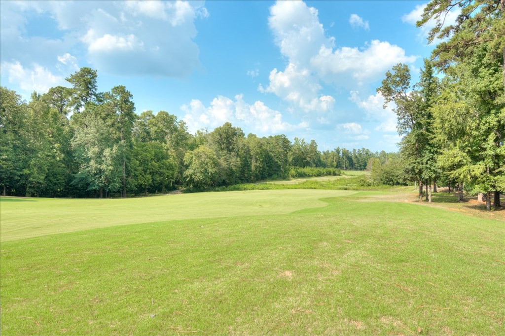 4338 Satolah Ridge Evans, GA 30809 - Photo 40 of 40