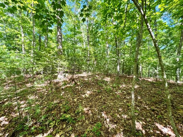3 Rockridge Road Newtown Square, PA 19073 - Photo 9 of 13 Gallery Image 9