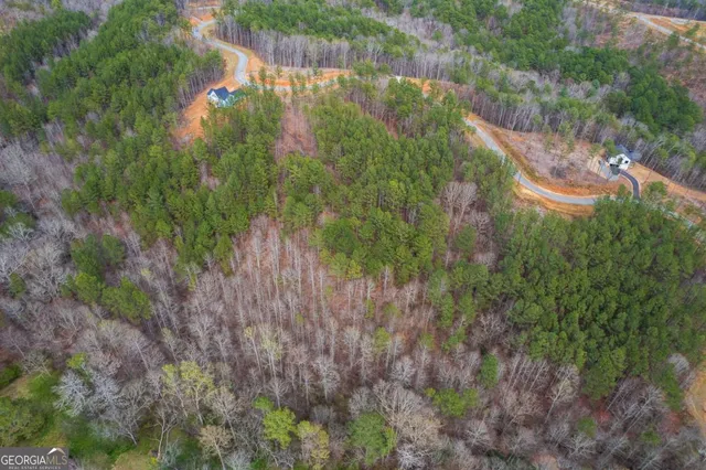 a backyard of a house with lots of green space and trees all around