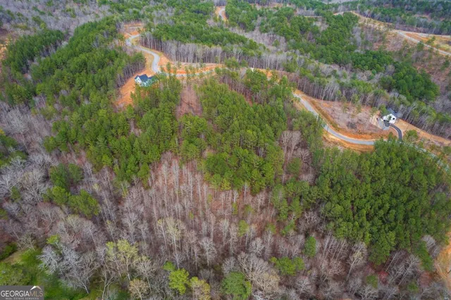 a view of a garden with a lake and trees
