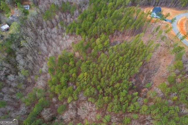 a view of a plants with a tree