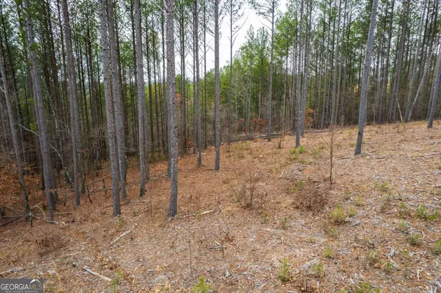 a view of outdoor space with trees