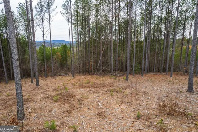 a view of backyard with green space