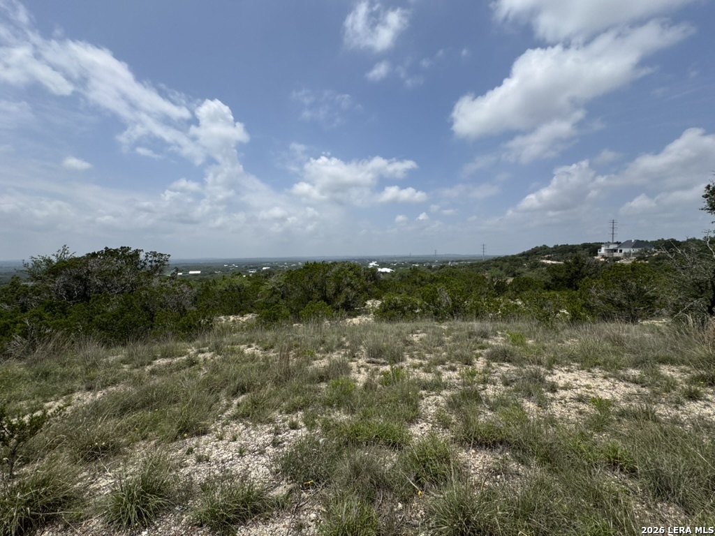686 Butler Oaks Bulverde, TX 78163 - Photo 6 of 11