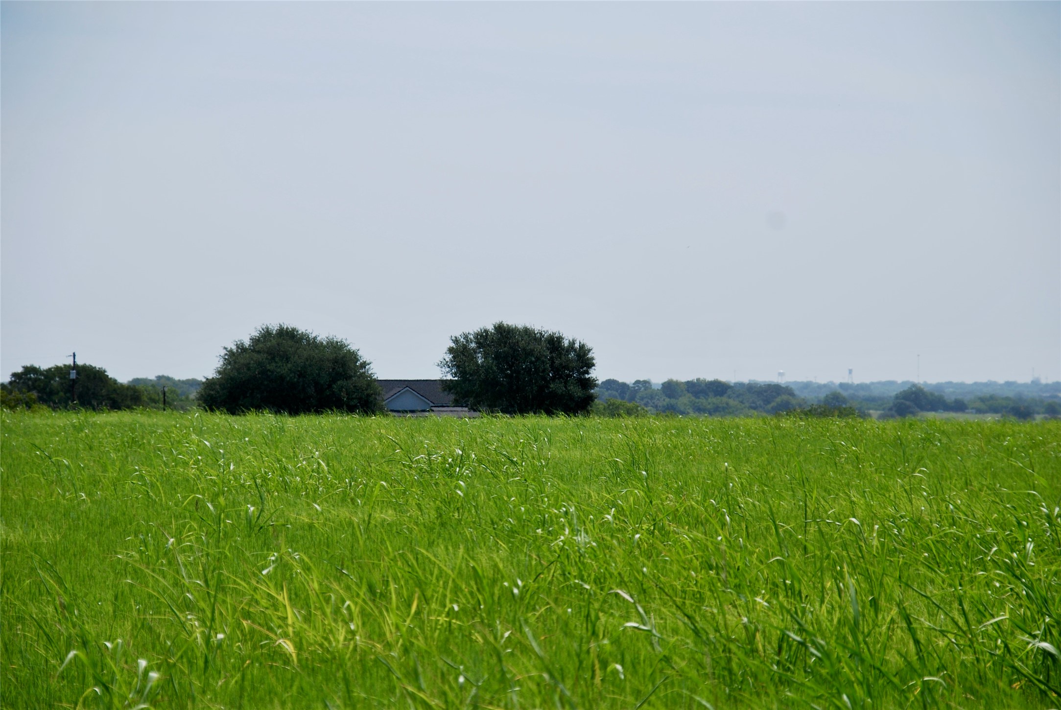 a view of a field of grass and trees