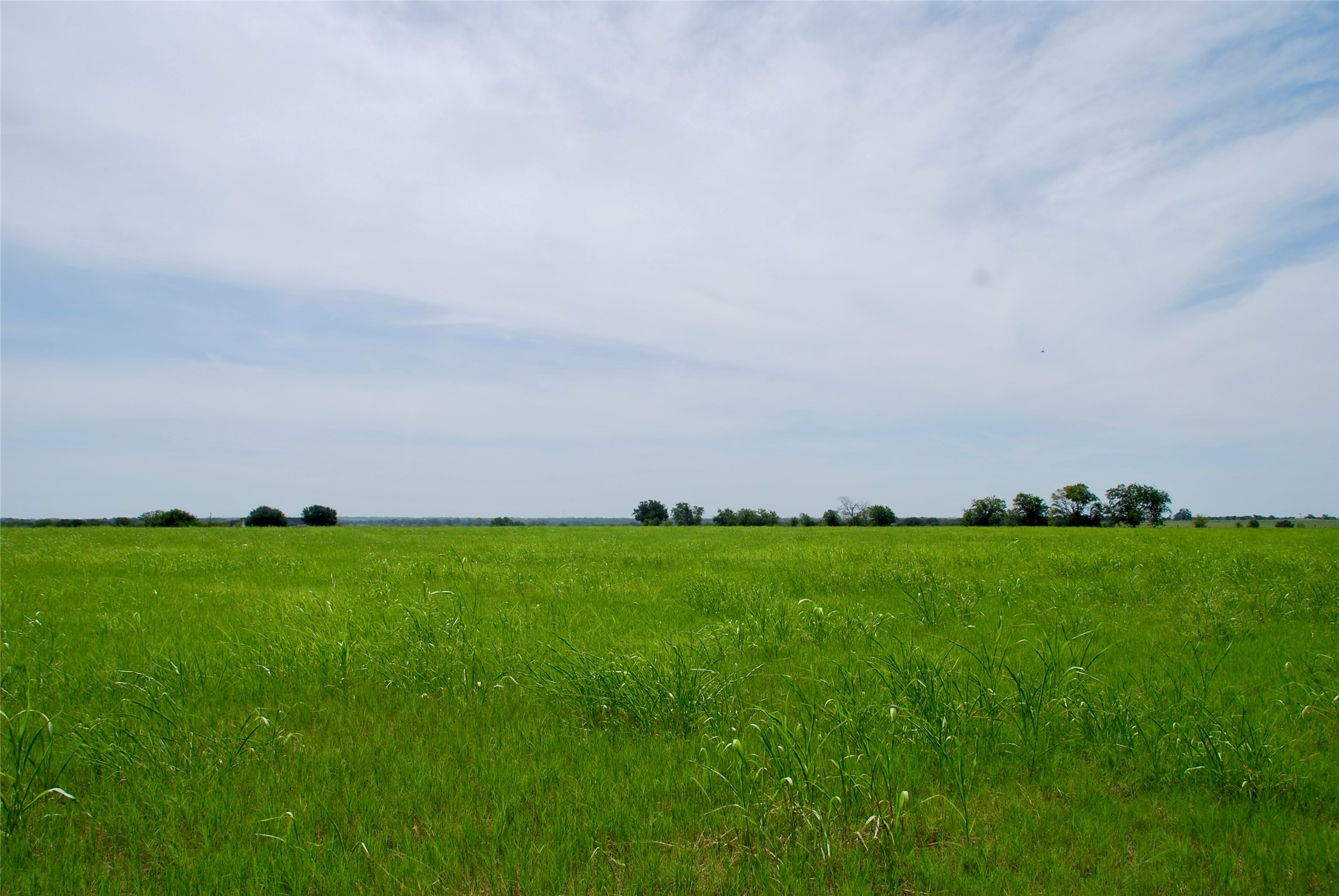 3 Company Field Road Schulenburg, TX 78956 - Photo 13 of 14