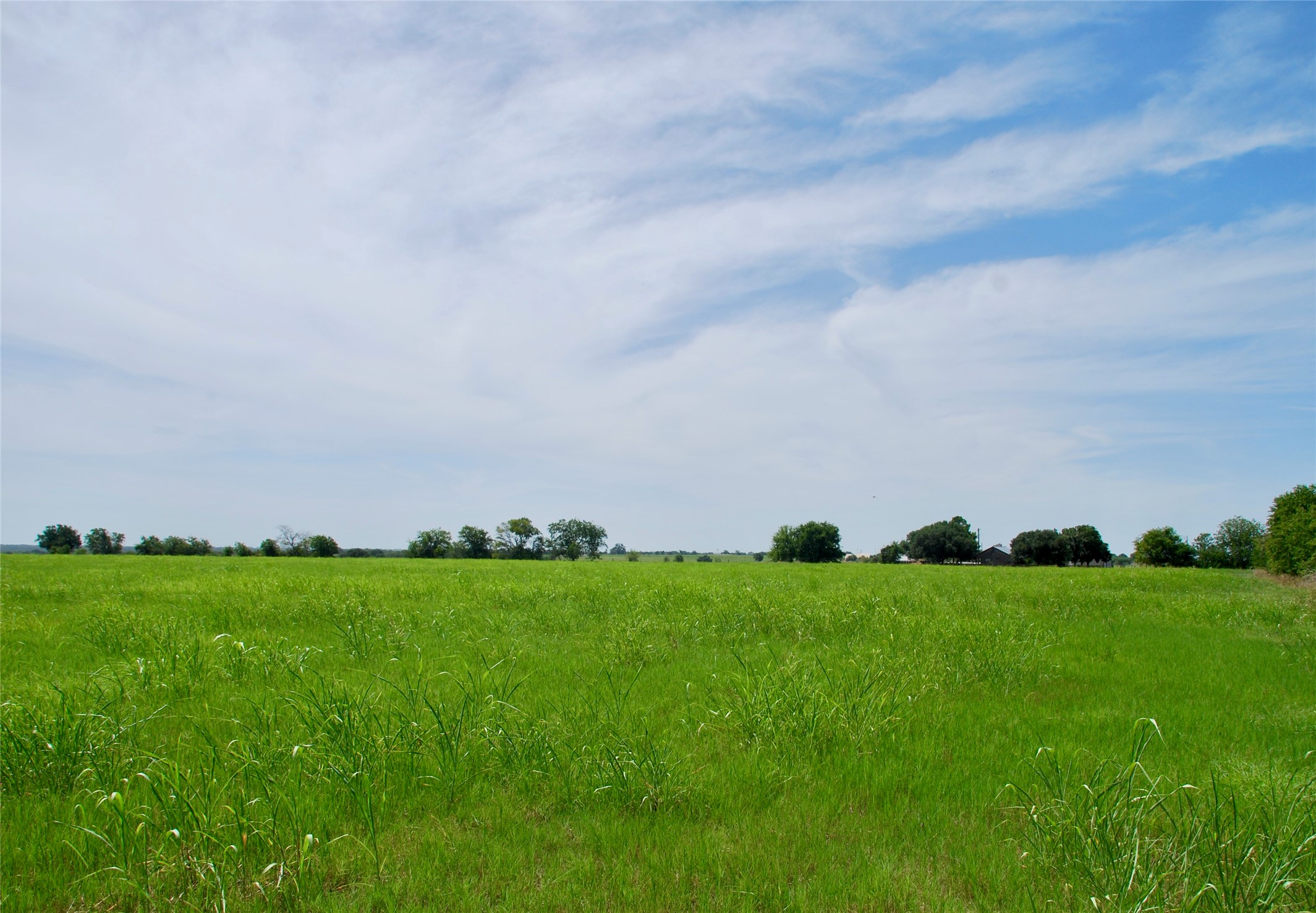 3 Company Field Road Schulenburg, TX 78956 - Photo 14 of 14