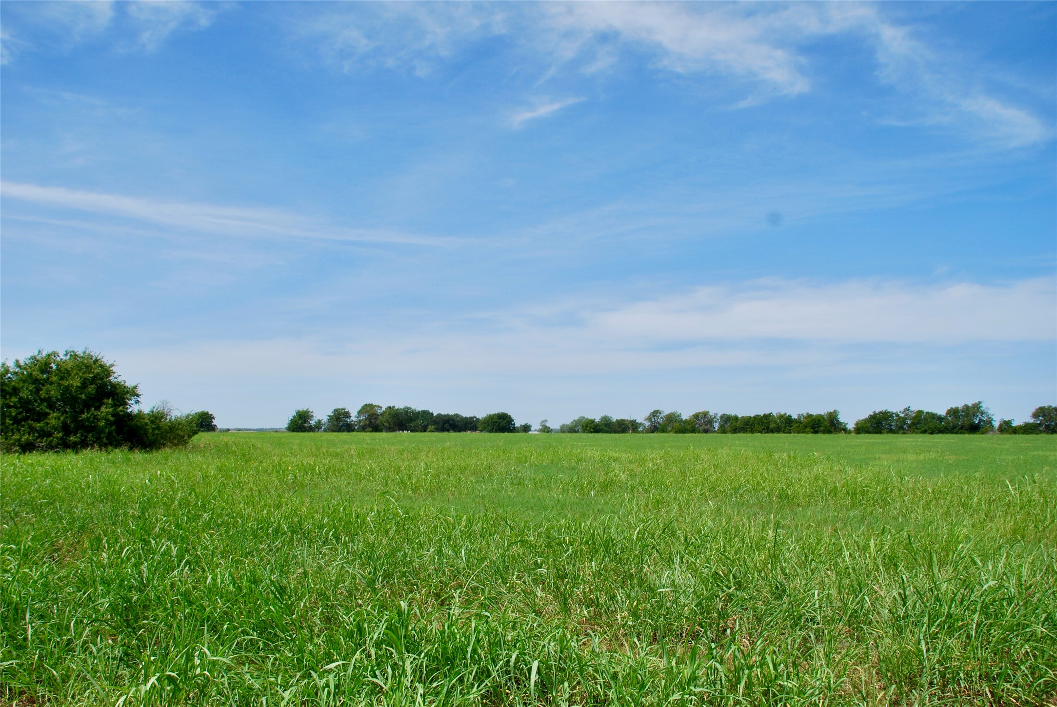 3 Company Field Road Schulenburg, TX 78956 - Photo 4 of 14