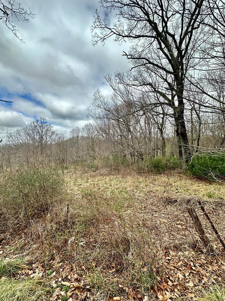 Tbd Mill Creek Road, Unit 2 Chilhowie, VA 24319 - Photo 2 of 19 Gallery Image 2