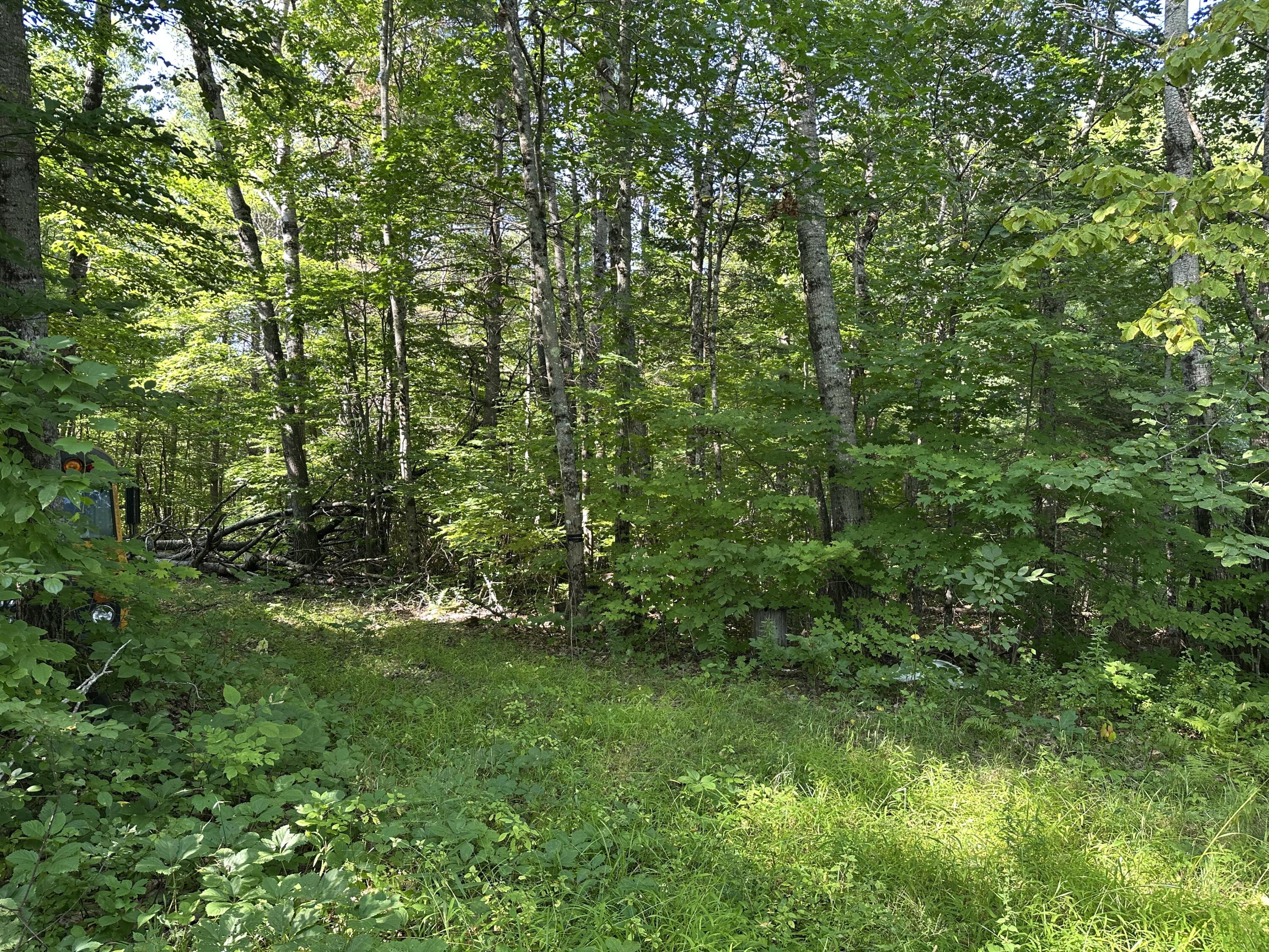 Map12-lot4 Starks Road New Sharon, ME 04955 - Photo 10 of 11 IMG_8944