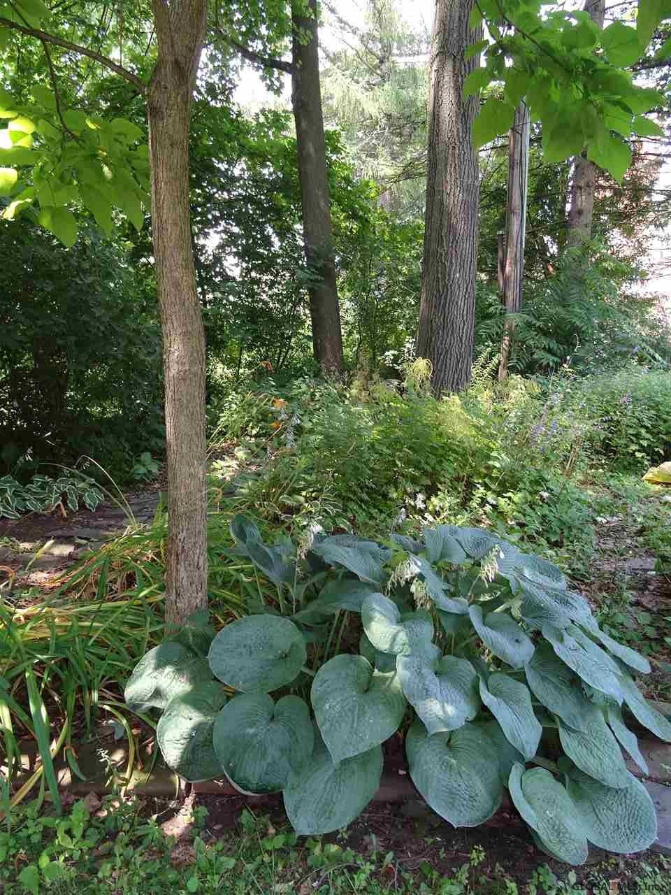 1043 Douglas Road Schenectady, NY 12308 - Photo 79 of 79 Photo 82