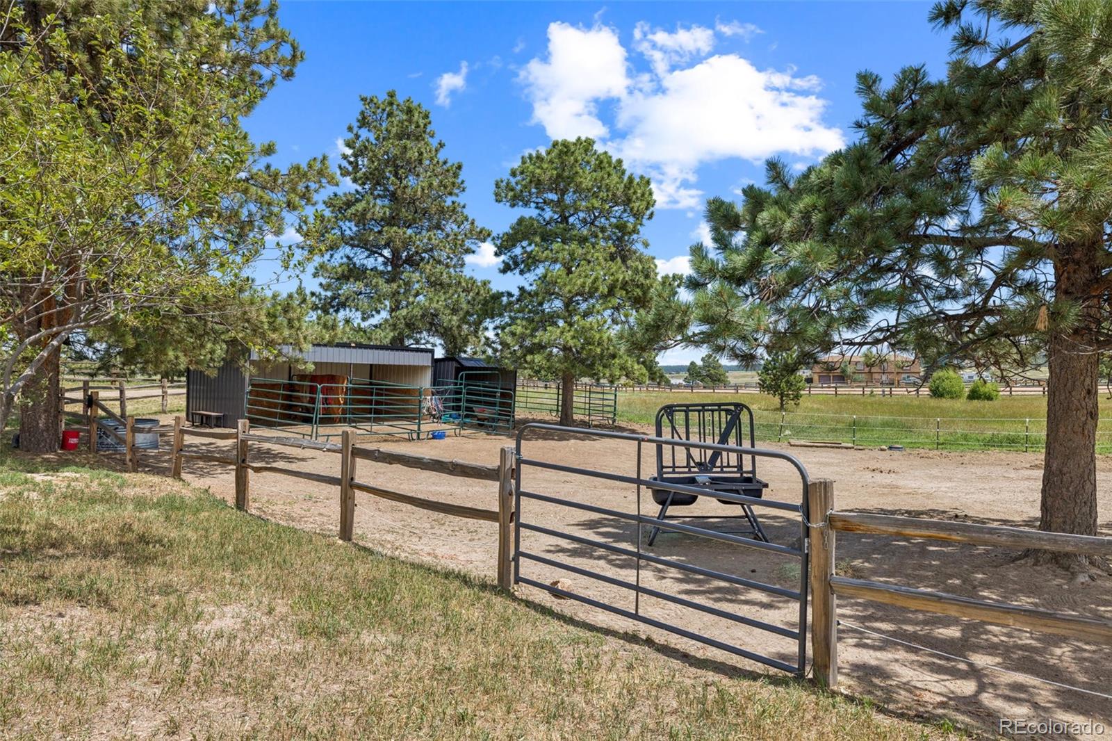 17940 Appaloosa Road Monument, CO 80132 - Photo 4 of 50