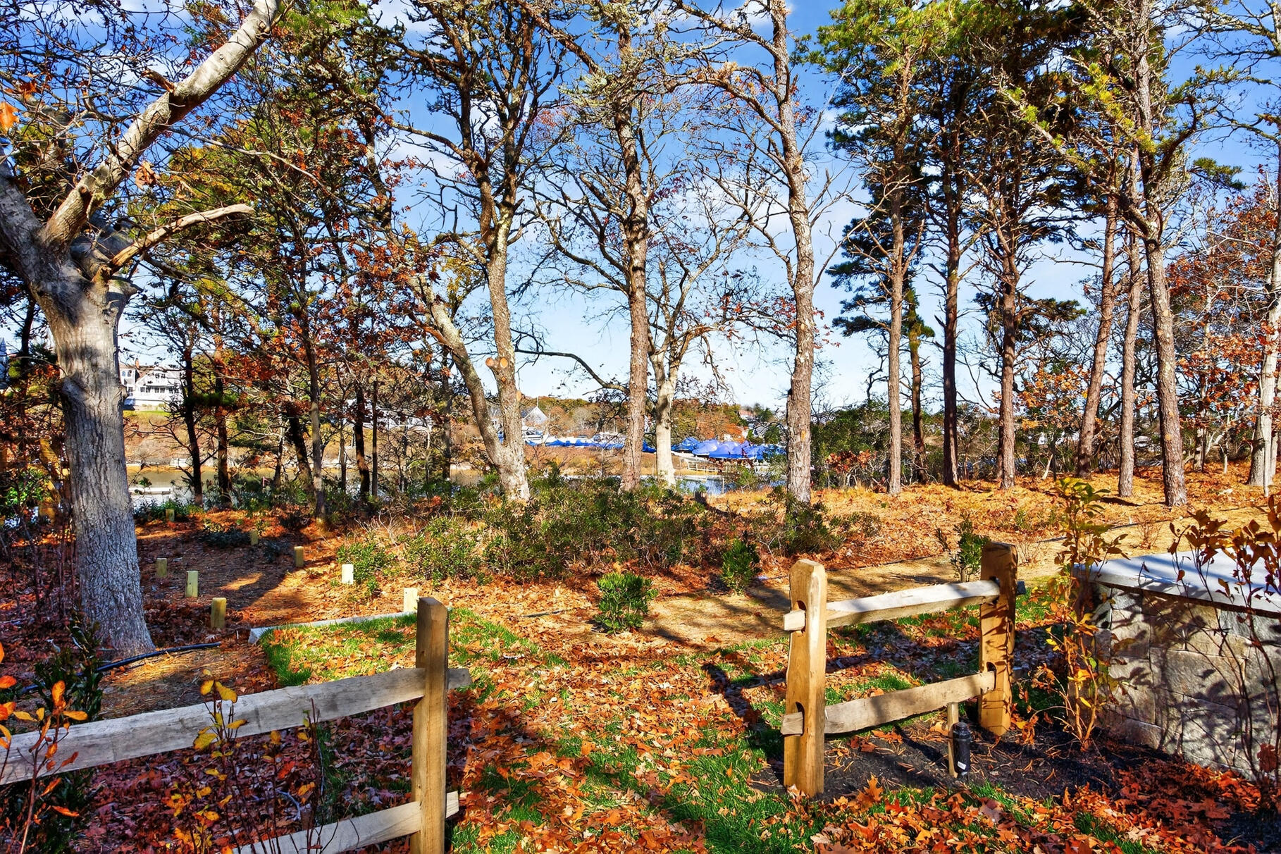 13 Captain Knowles Way Chatham, MA 02633 - Photo 36 of 45 8P0A2117