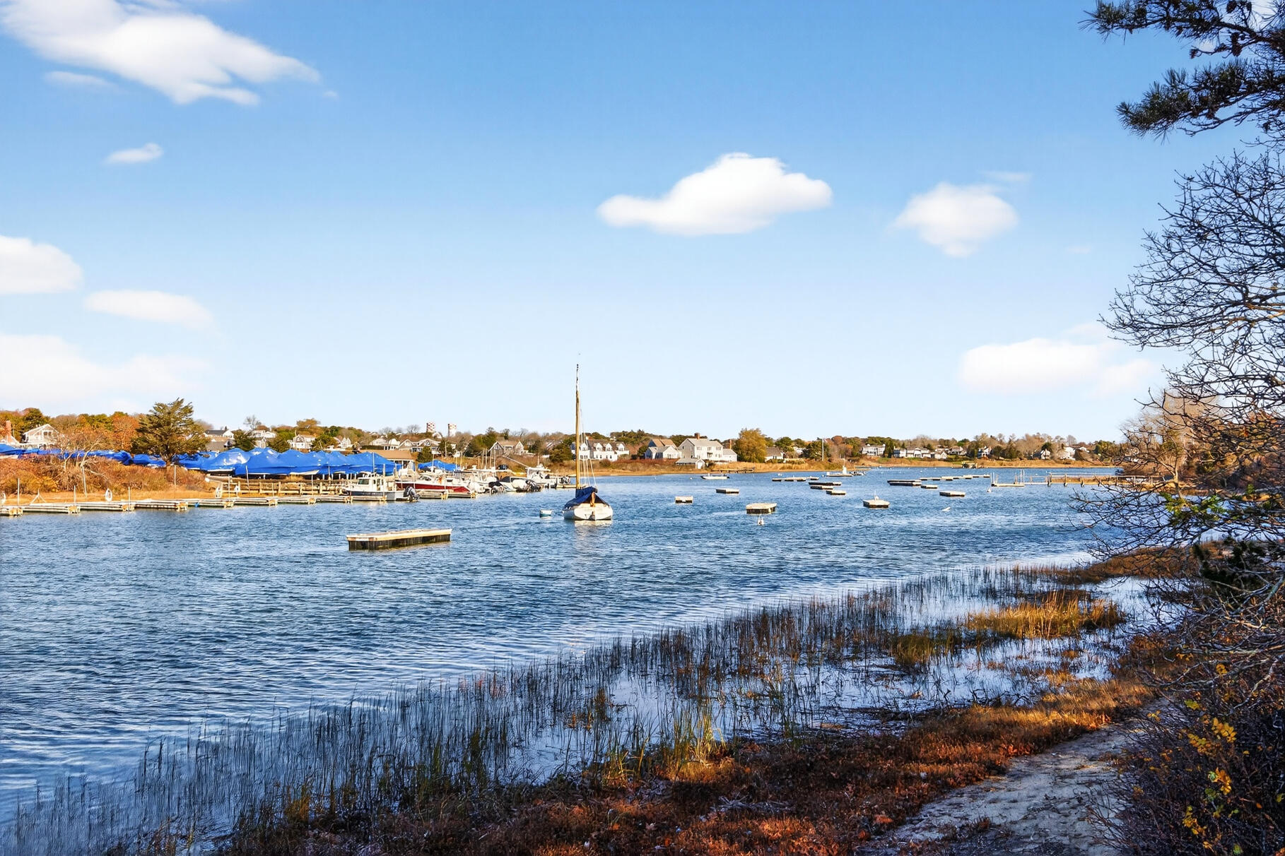 13 Captain Knowles Way Chatham, MA 02633 - Photo 40 of 45 8P0A2121