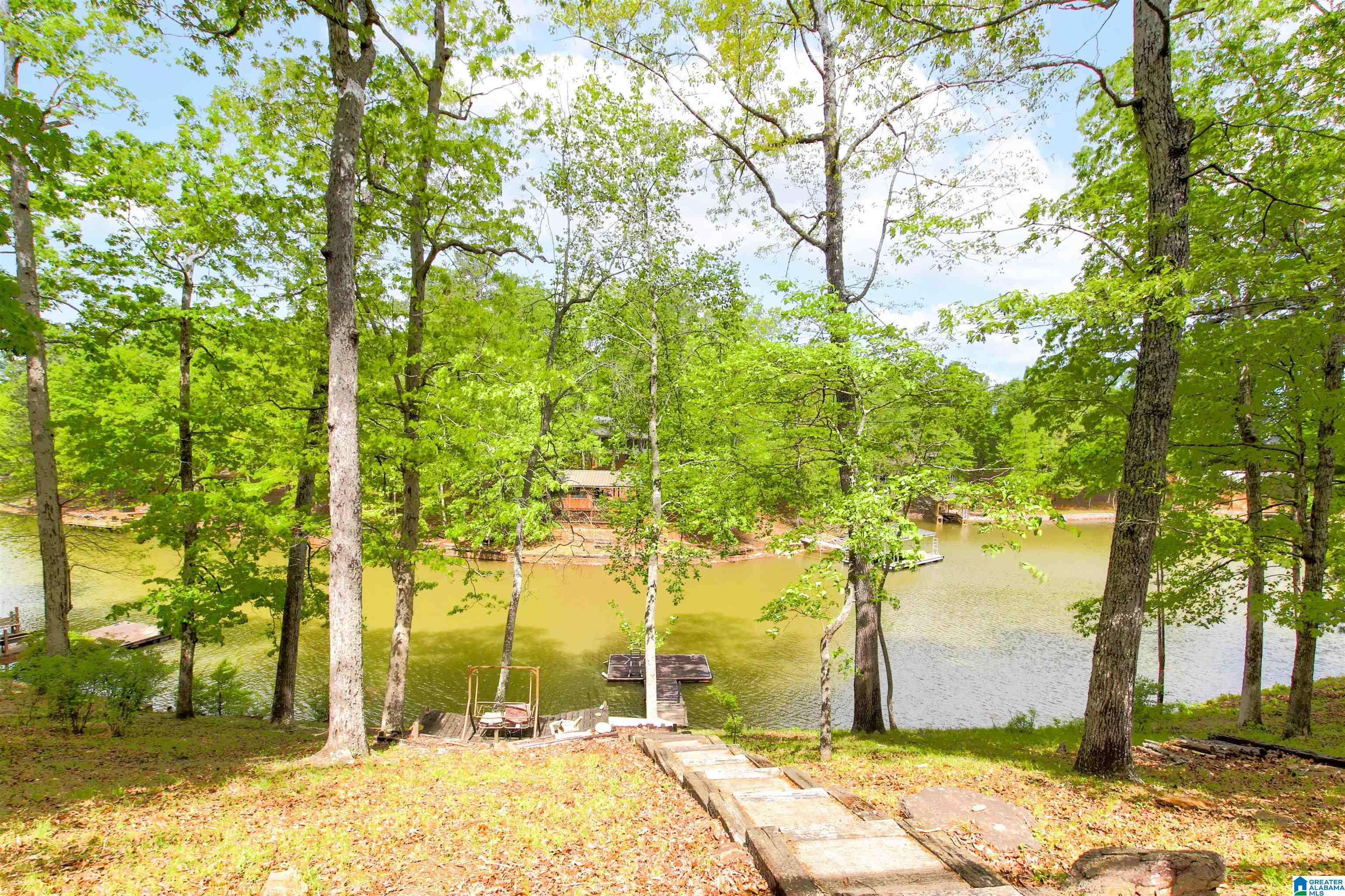 65 River Point Drive Wedowee, AL 36278 - Photo 3 of 21