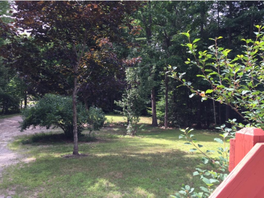 323 Beach Pond Road Wolfeboro, NH 03894 - Photo 5 of 16
