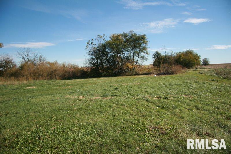 19316 North Hakes Road Edelstein, IL 61526 - Photo 5 of 26 Gallery Image 5