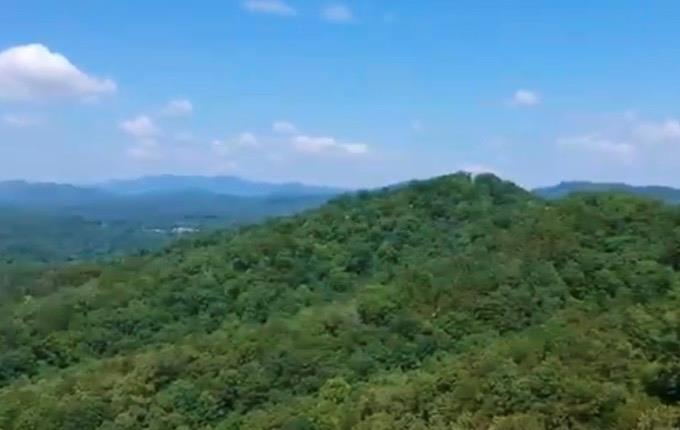 39 Moon Howler Drive Murphy, NC 28906 - Photo 3 of 35